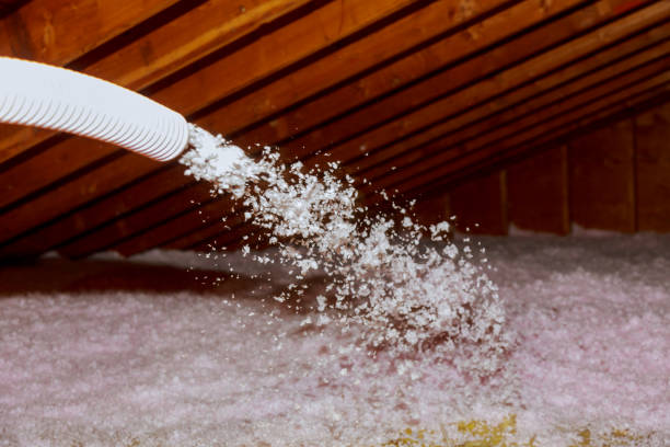 Best Eco-Friendly Insulation in Grass Lake, MI
