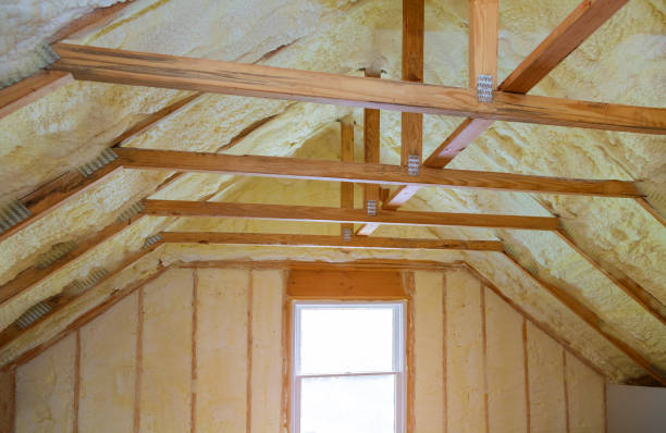 Best Spray Foam Insulation in Grass Lake, MI