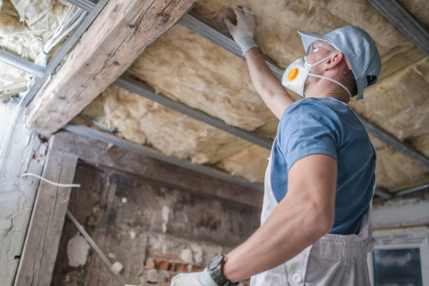 Best Insulation Maintenance and Repair in Grass Lake, MI