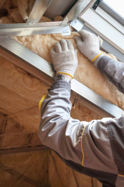Best Energy Efficiency Insulation in Grass Lake, MI