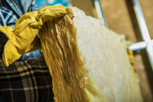 Types of Insulation We Offer in Grass Lake, MI
