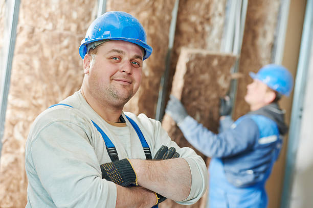 Best Specialized Insulation Services in Grass Lake, MI